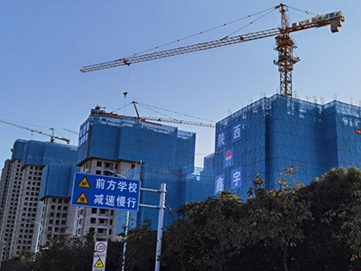 爬架网片 - 河北旭凰金属丝网制品有限公司图片2